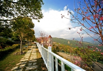 山坡花園林道